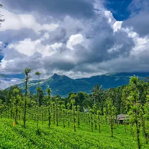 Hotel Ende Wayanad, Koroth